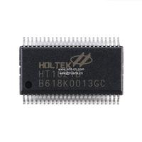  HT1621B PKG SSOP-48 BRAND HOLT